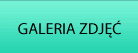 GALERIA ZDJ